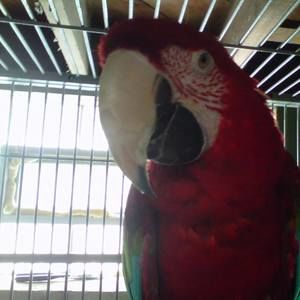 Meet your Posher, Patty